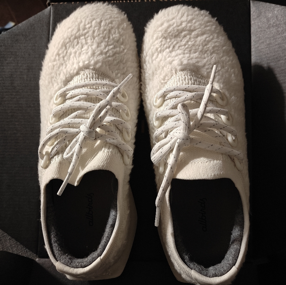 Allbirds Wool Dasher 2 Fluff